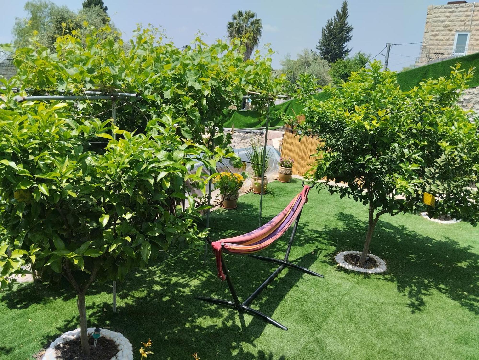 耶路撒冷קסם עין כרם公寓 外观 照片